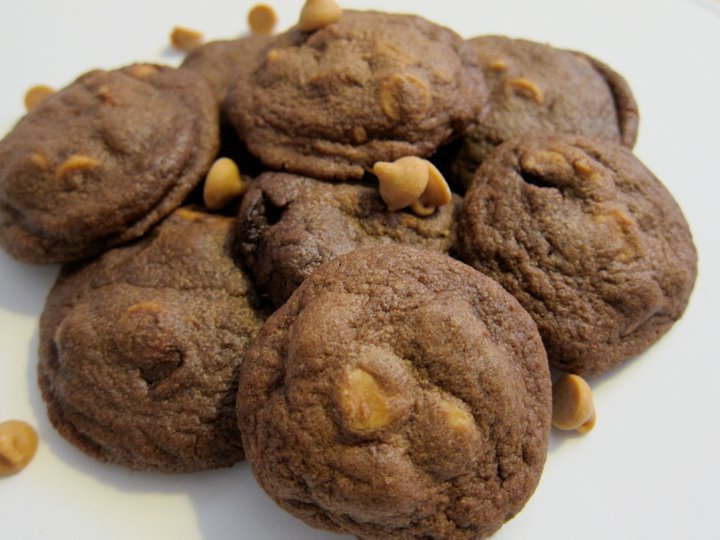 Chewy Chocolate Chip Cookies. Chocolate Chip Brownie Cookies